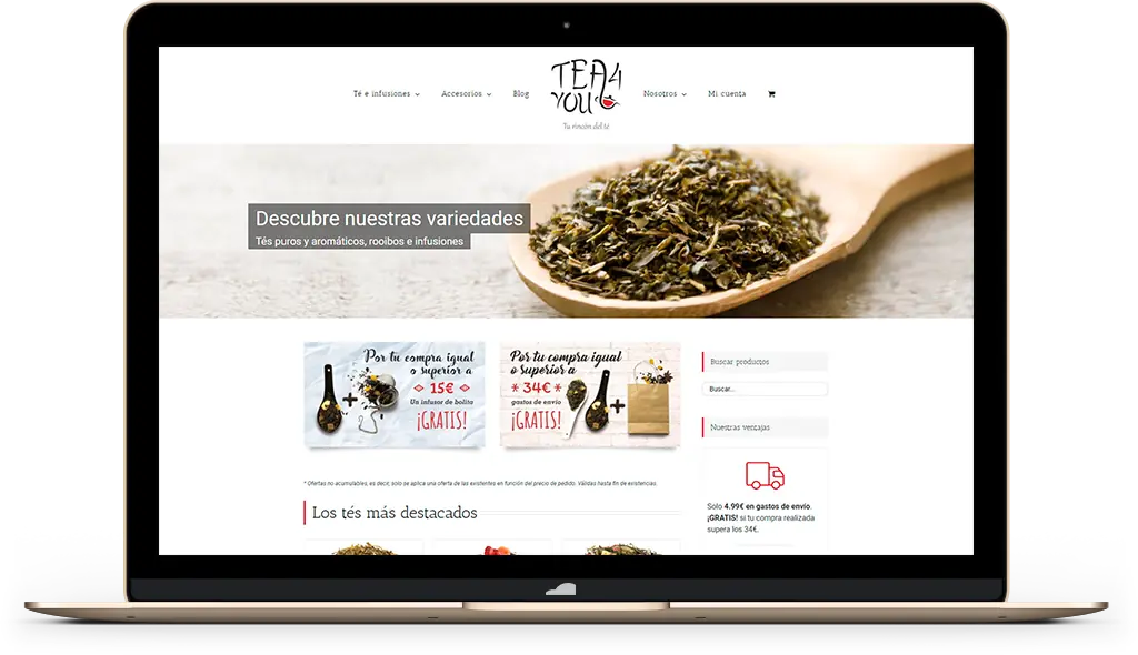 Diseño de tiendas online E-Commerce Diseñador de tiendas online E-Commerce