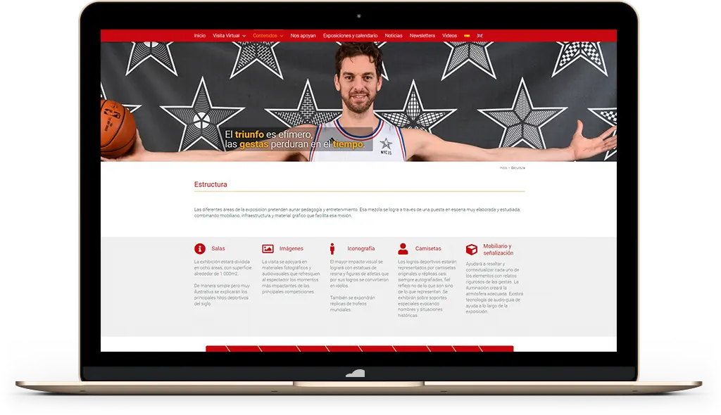 Programador de sitios web para museos y exposiciones Programador de sitios web para museos y exposiciones